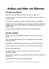 Fehlerlesen-Aufbau-Alter-Bäume-Text-1.pdf